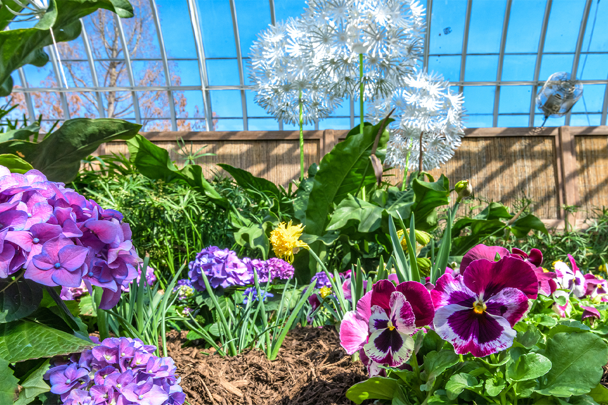 Spring Flower Show: Canopy of Color Spring Flower Show: Canopy of Color