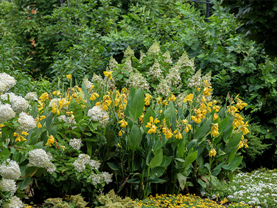 Sustainable Garden Awards