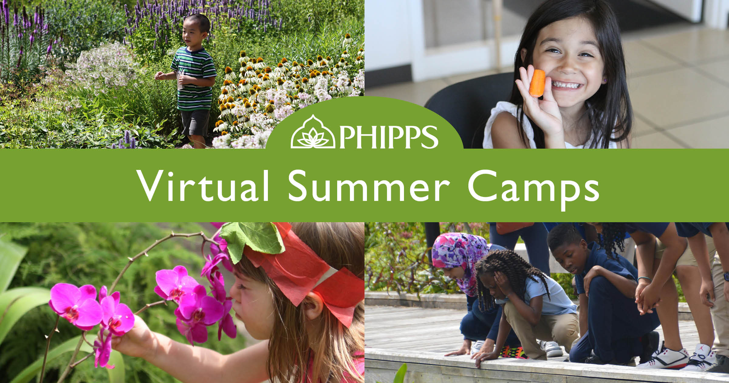 Virtual Summer Camps Phipps Conservatory And Botanical Gardens Pittsburgh Pa