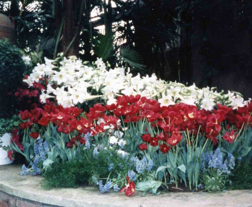 Spring Flower Show 1988: The Magic of Spring