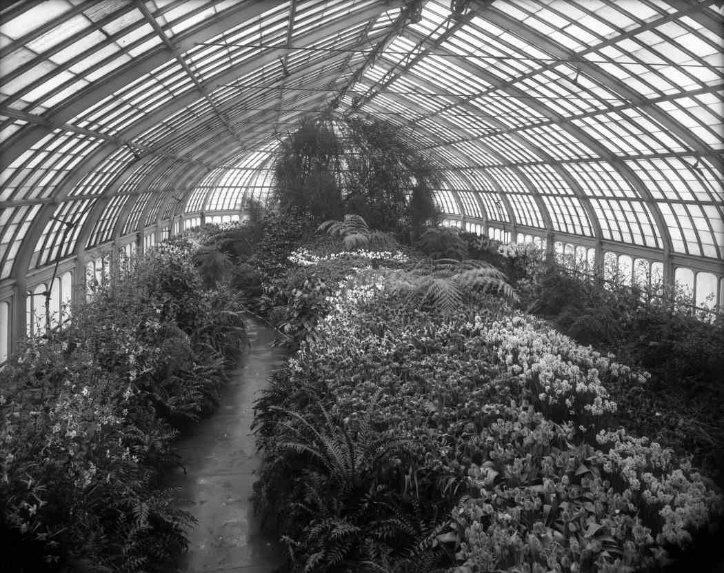 Spring Flower Show 1911