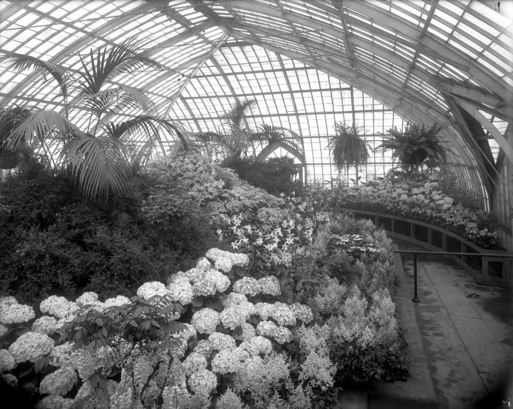 Spring Flower Show 1911