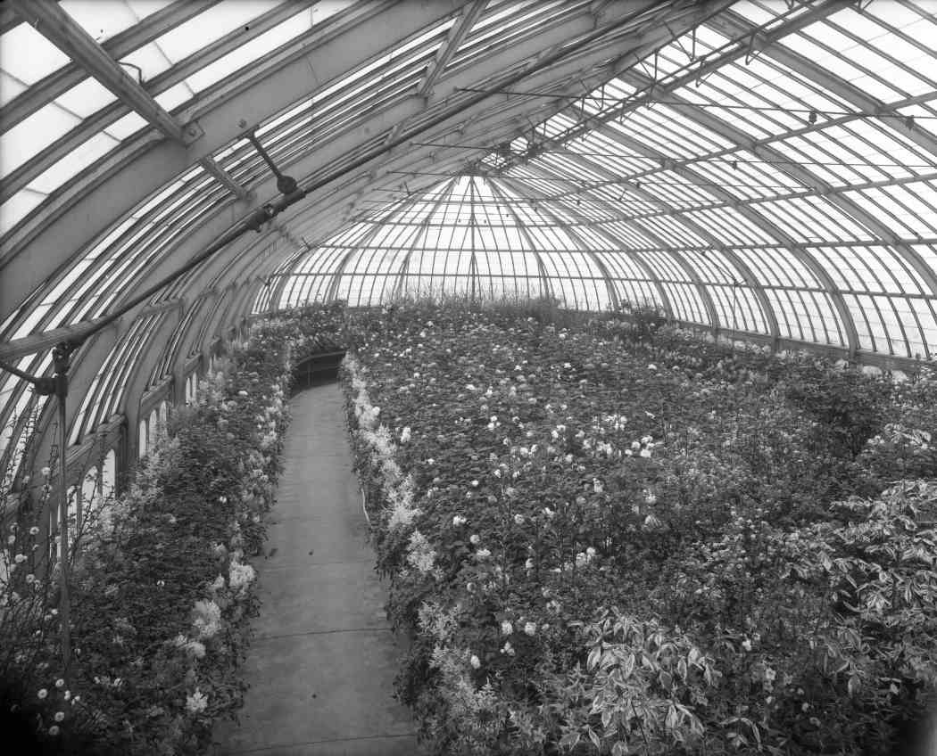 Spring Flower Show 1911