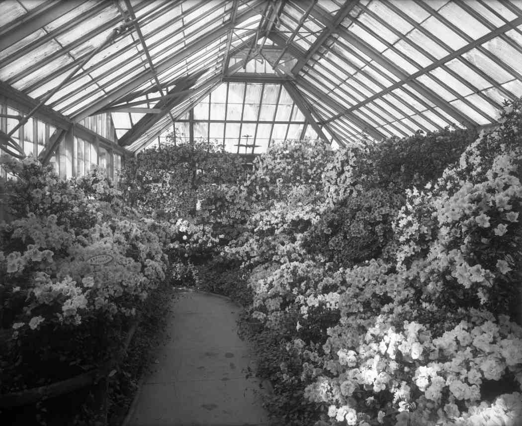 Spring Flower Show 1912