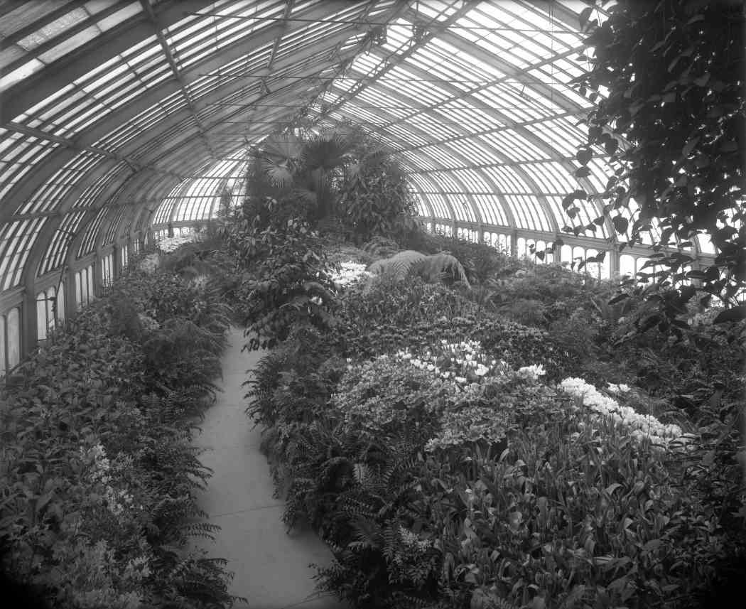 Spring Flower Show 1912