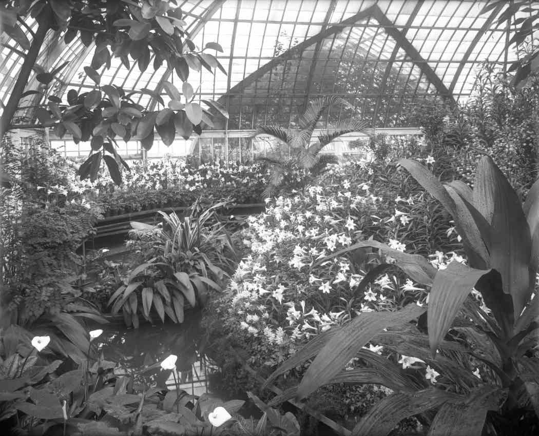 Spring Flower Show 1912