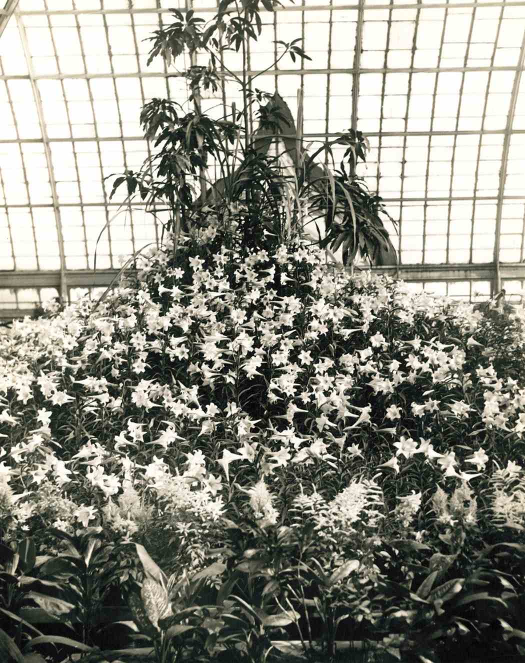 Spring Flower Show 1928