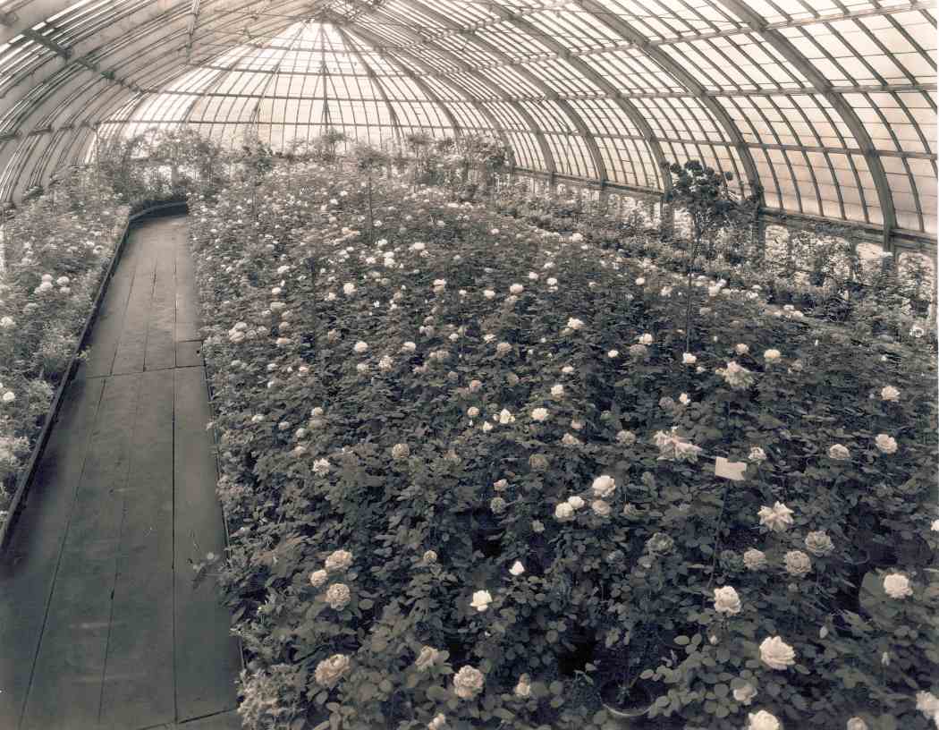Spring Flower Show 1928