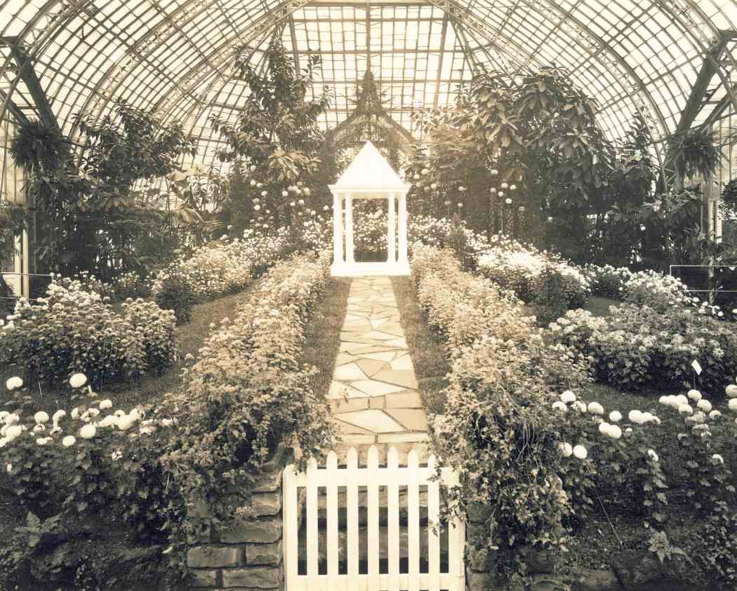 Fall Flower Show 1929