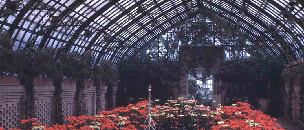 Winter Flower Show 1947