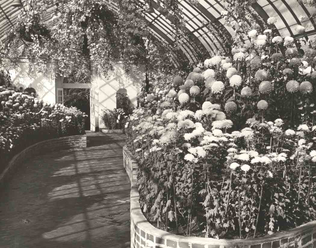Fall Flower Show 1948