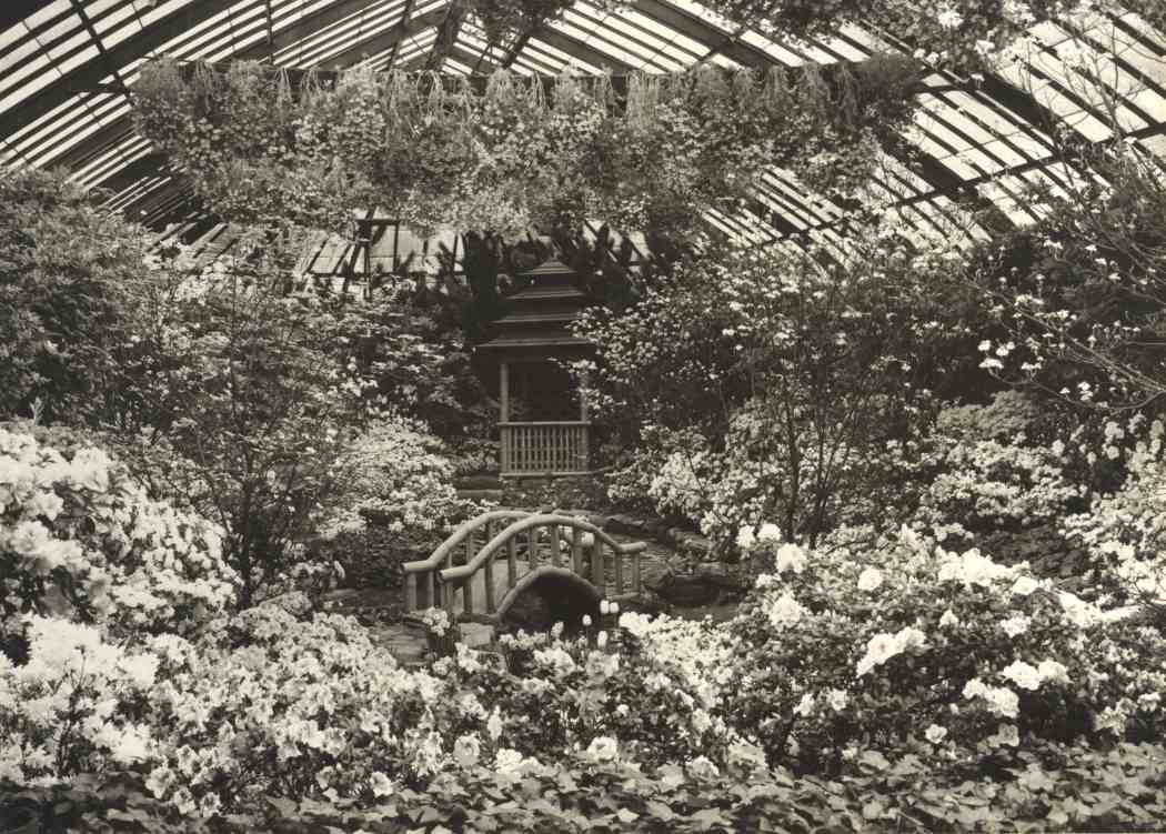 Spring Flower Show 1950