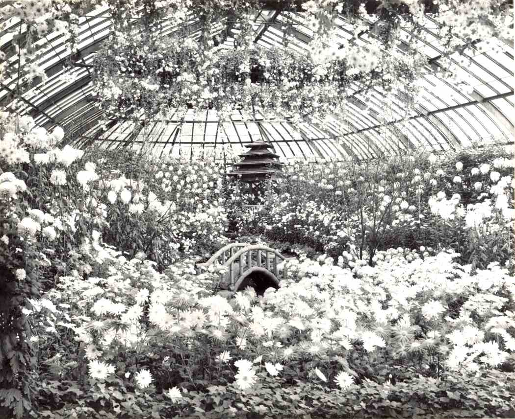 Fall Flower Show 1950