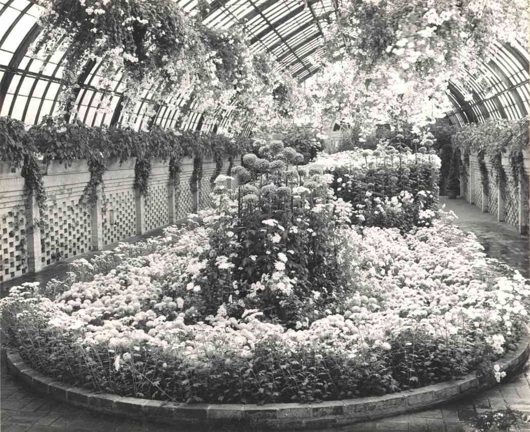 Fall Flower Show 1950