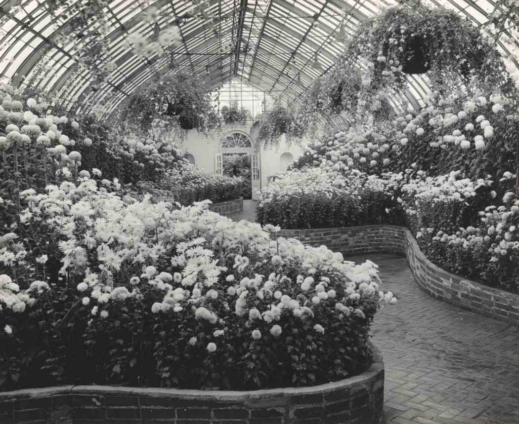 Fall Flower Show 1950