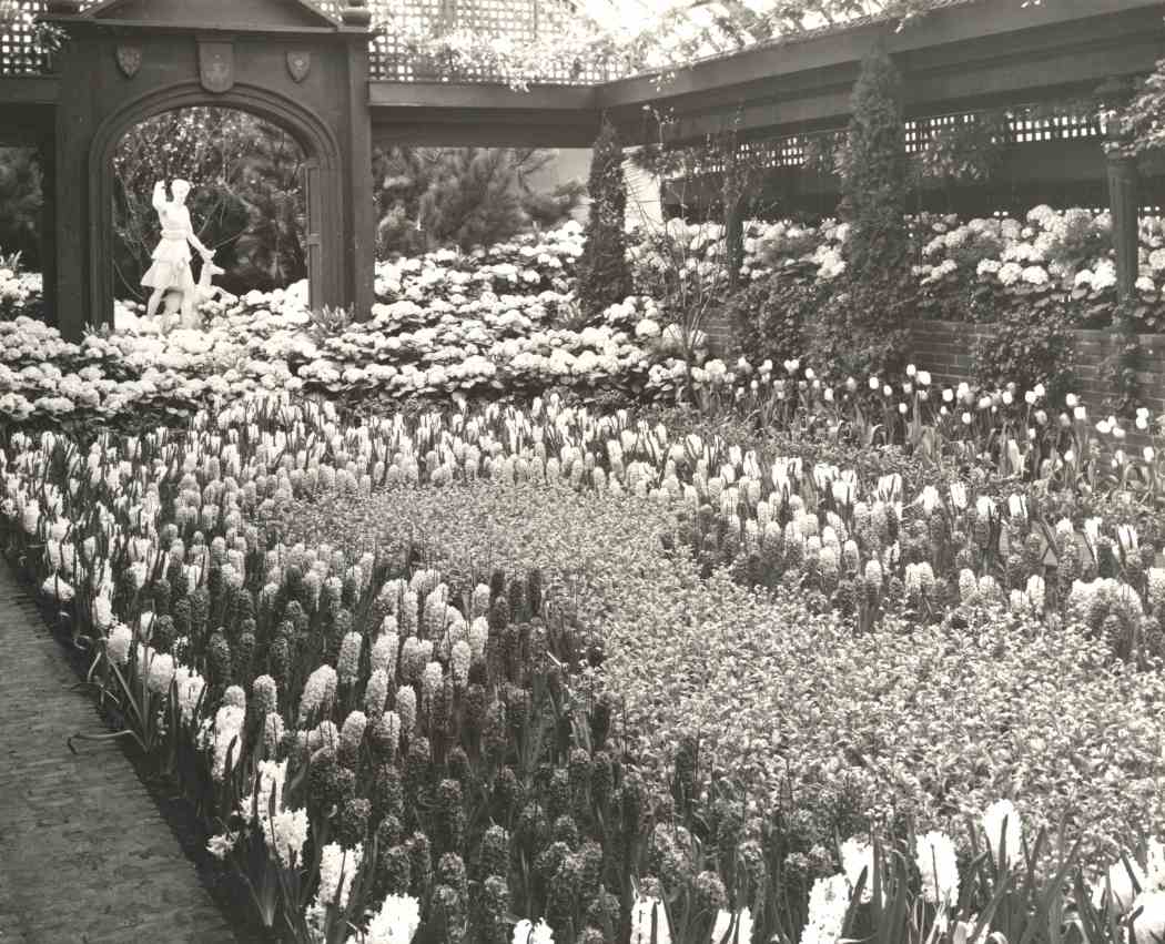 Spring Flower Show 1950