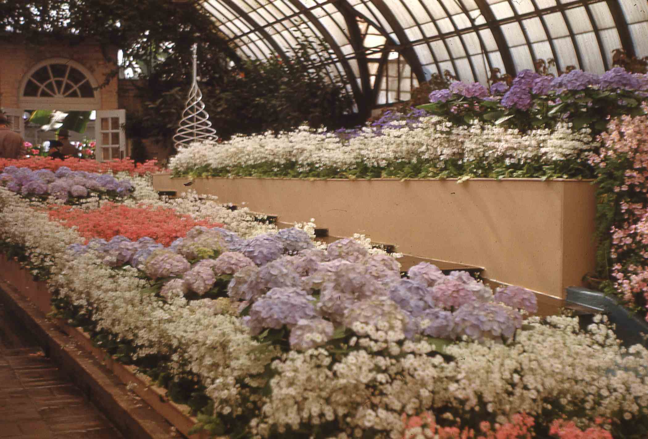 Spring Flower Show 1950 Phipps Conservatory and Botanical Gardens Pittsburgh PA