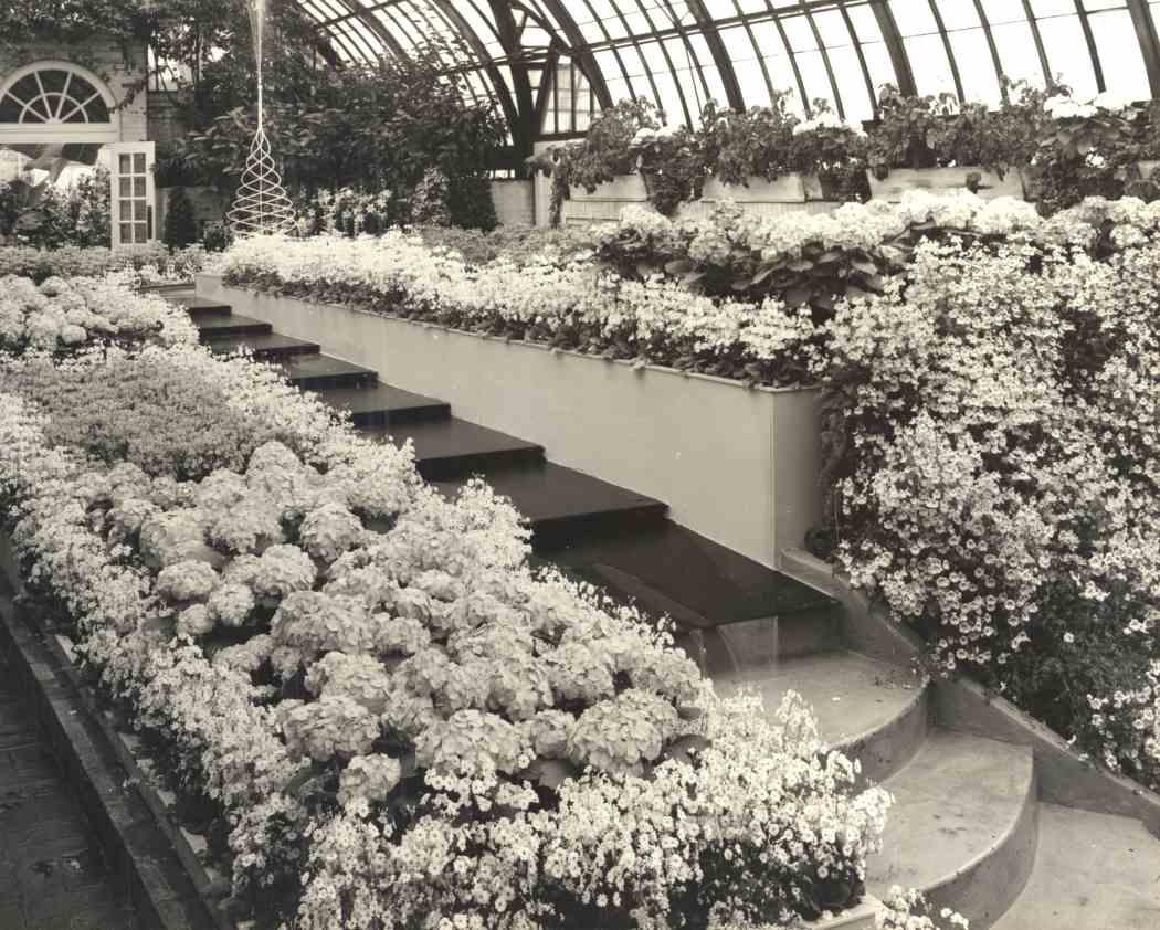 Spring Flower Show 1950