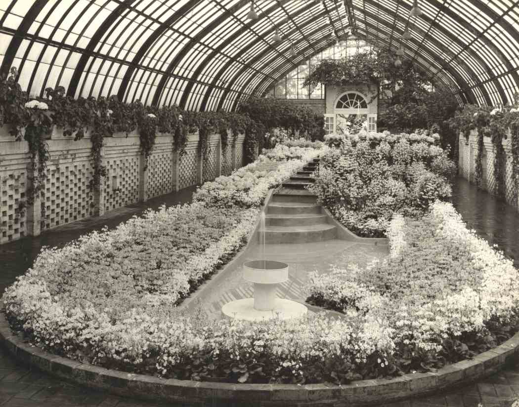 Spring Flower Show 1950