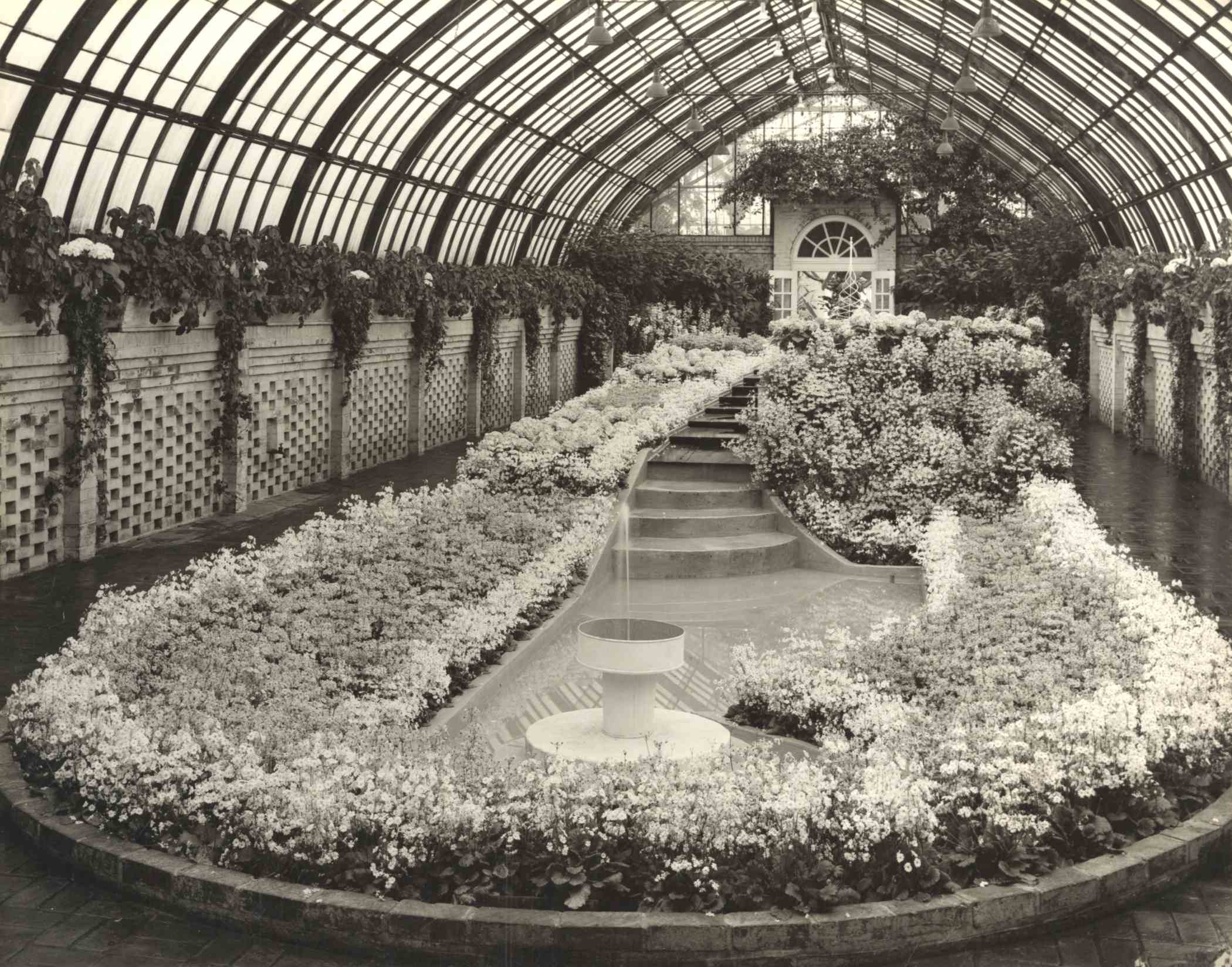 Spring Flower Show 1950 Phipps Conservatory and Botanical Gardens