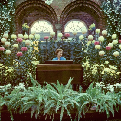 Fall Flower Show 1951