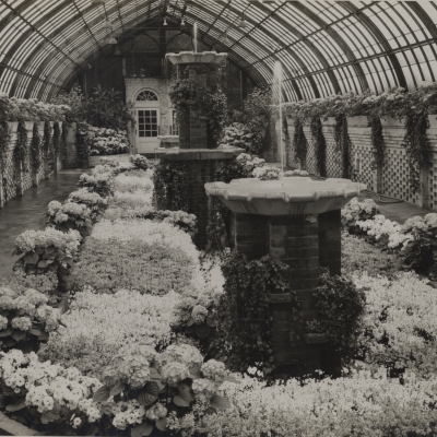 Fall Flower Show 1951