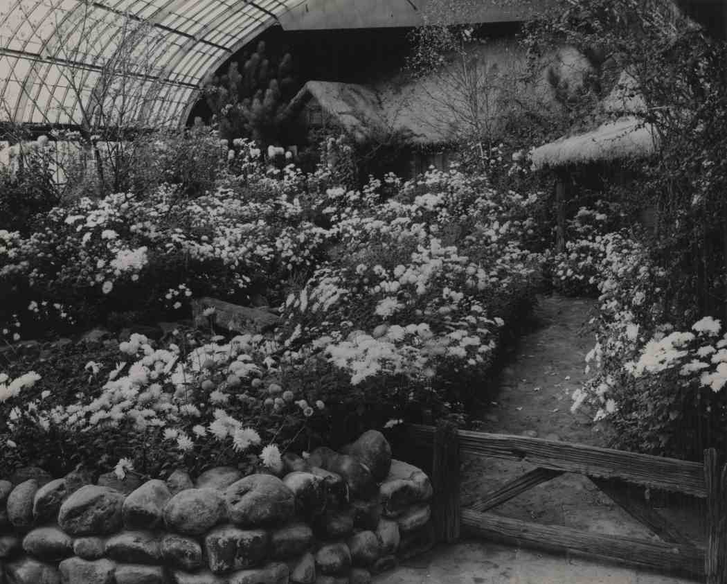 Fall Flower Show 1952