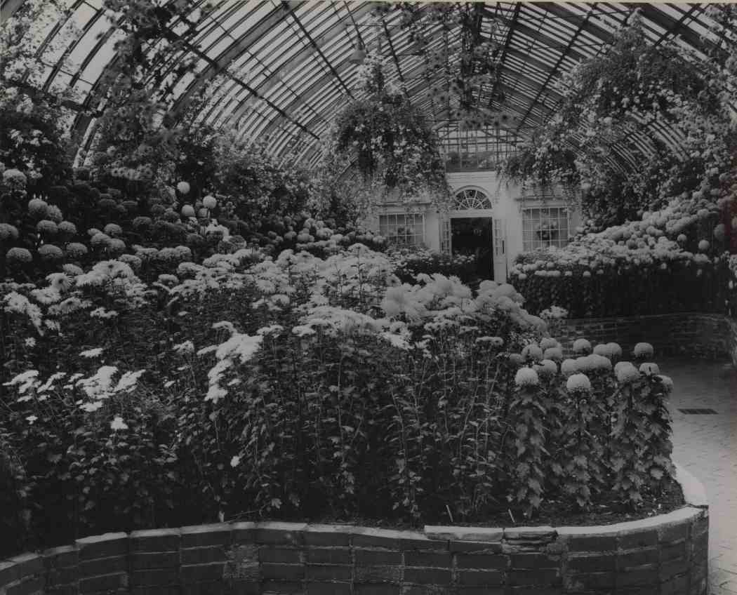 Fall Flower Show 1952