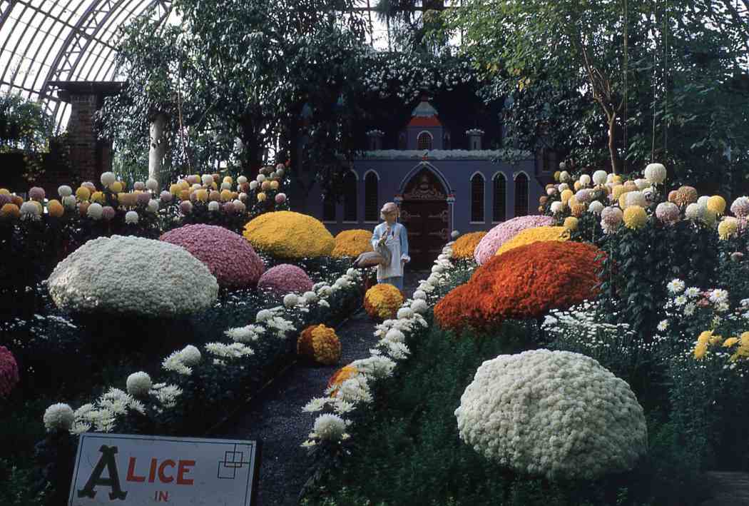 Fall Flower Show 1952