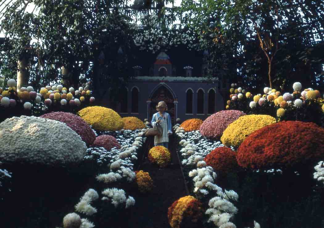 Fall Flower Show 1952