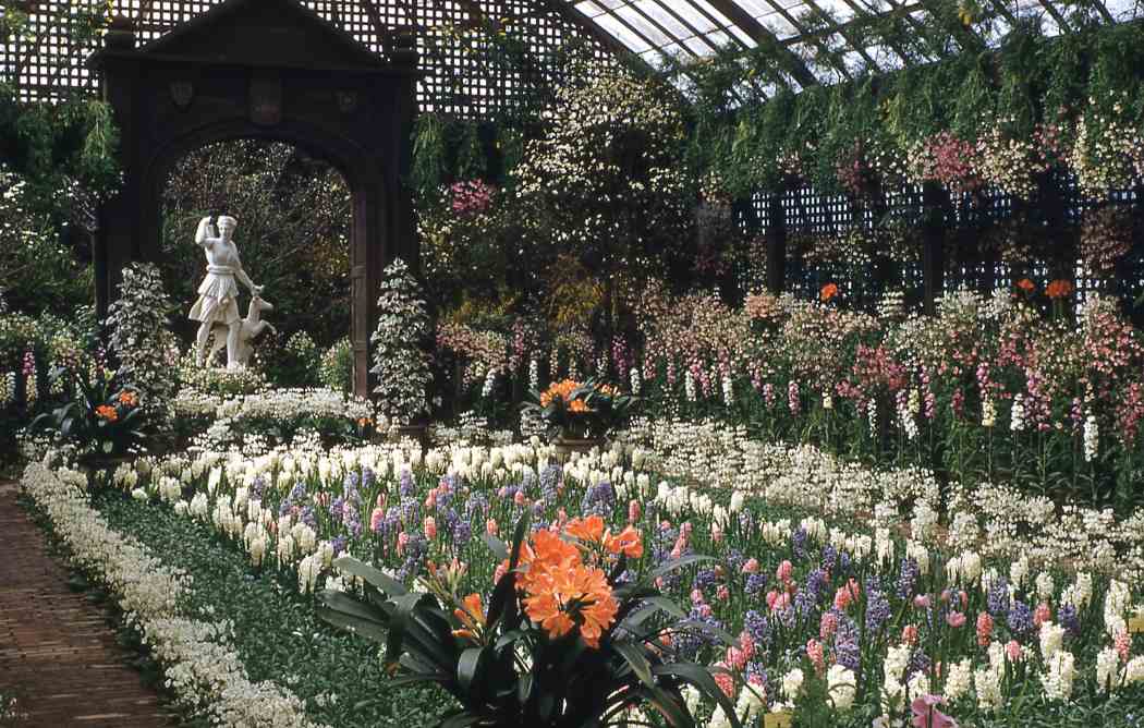 Spring Flower Show 1952