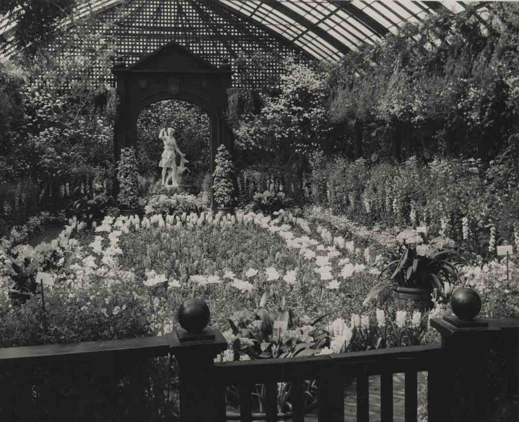 Spring Flower Show 1952