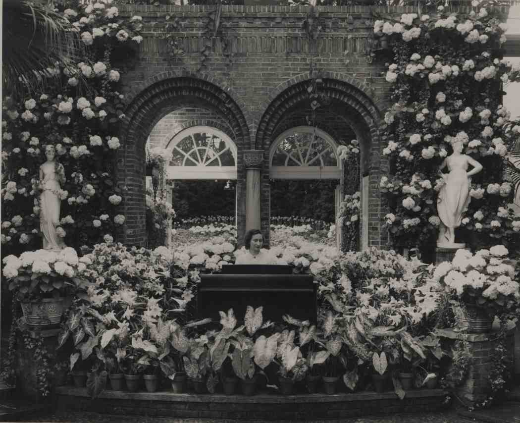 Spring Flower Show 1952