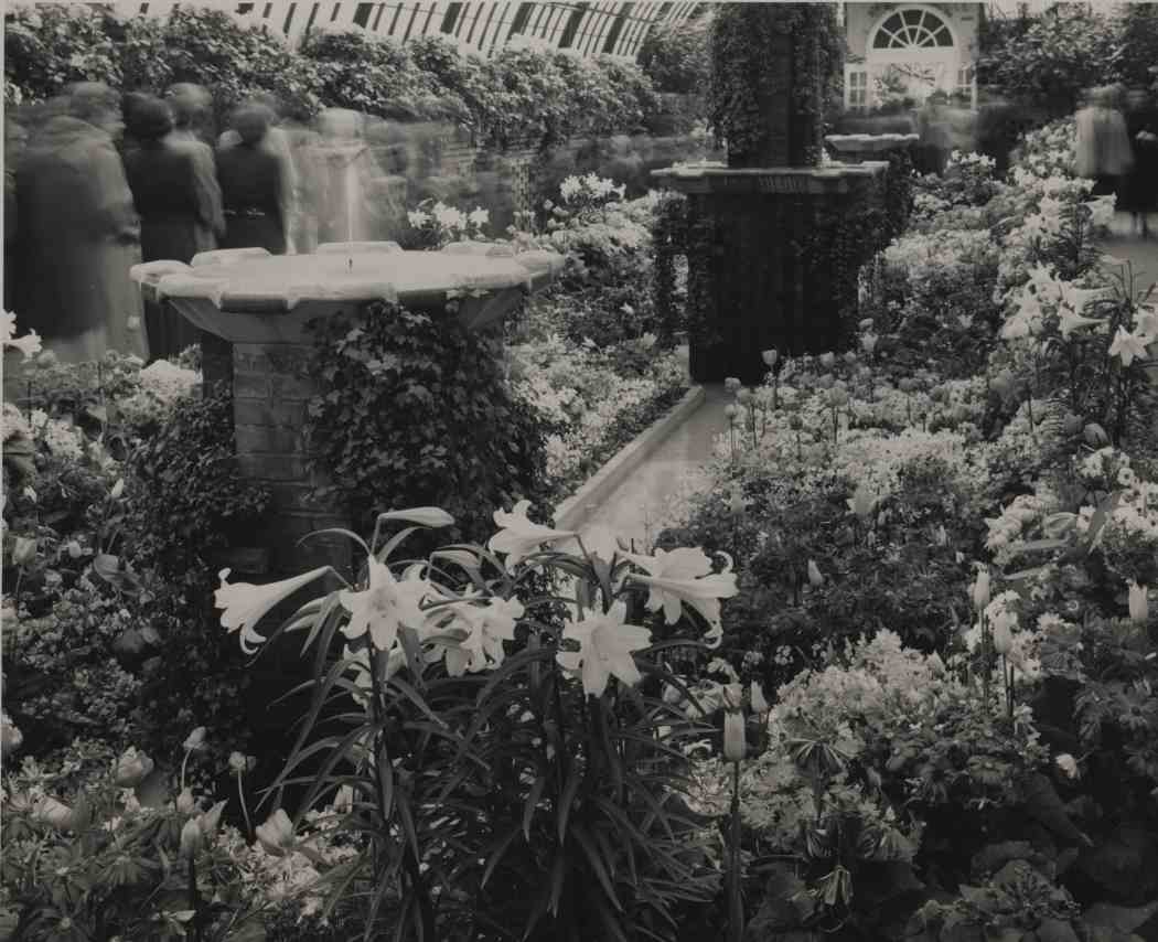 Spring Flower Show 1952