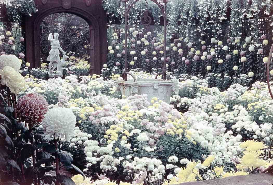 Fall Flower Show 1953