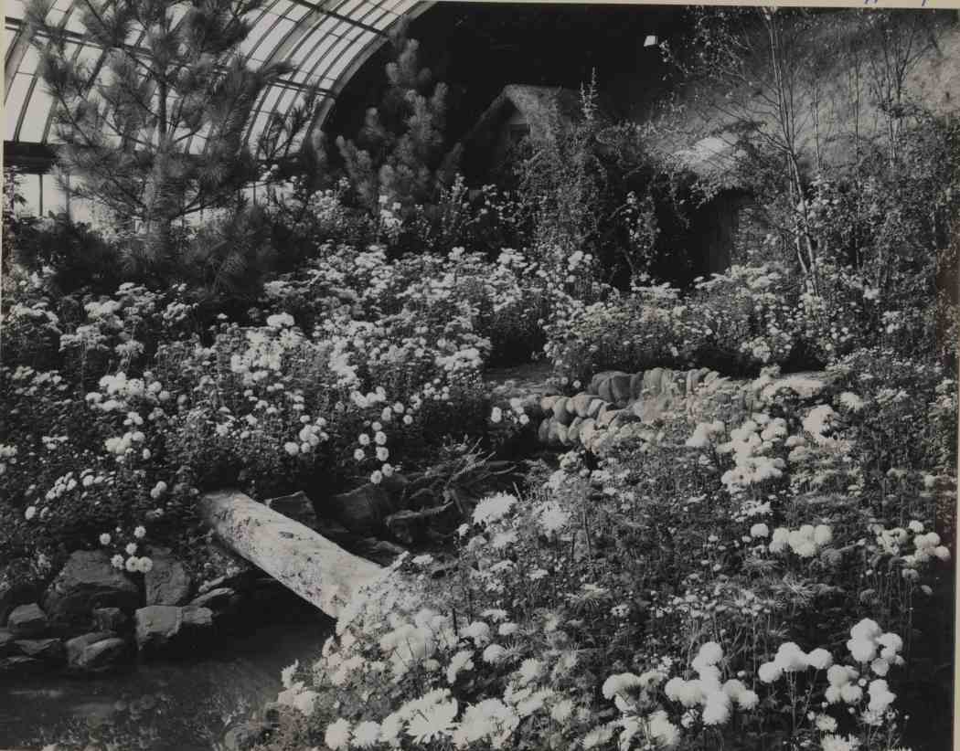 Fall Flower Show 1953