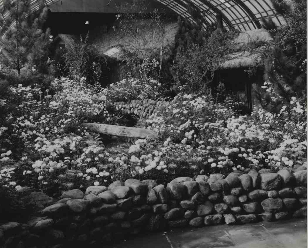 Fall Flower Show 1953