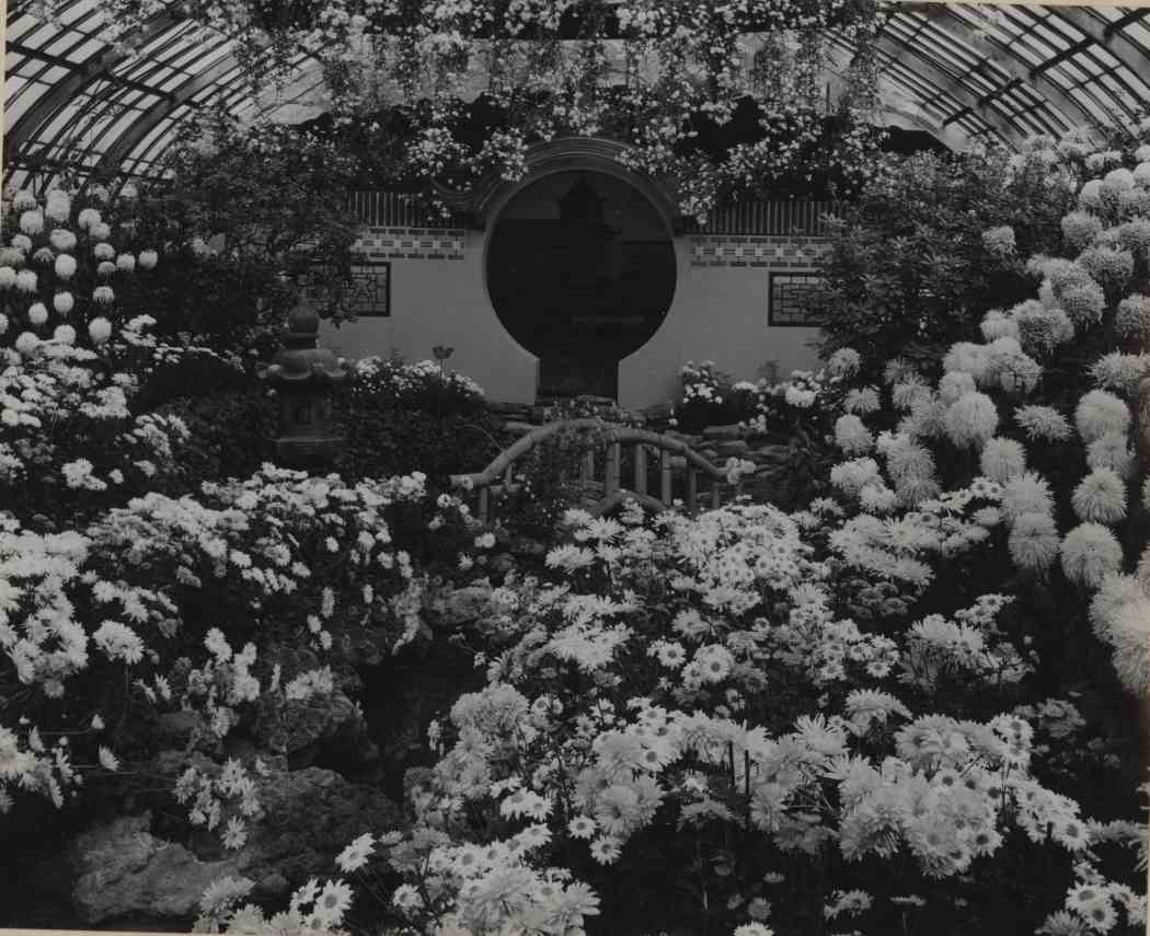 Fall Flower Show 1953