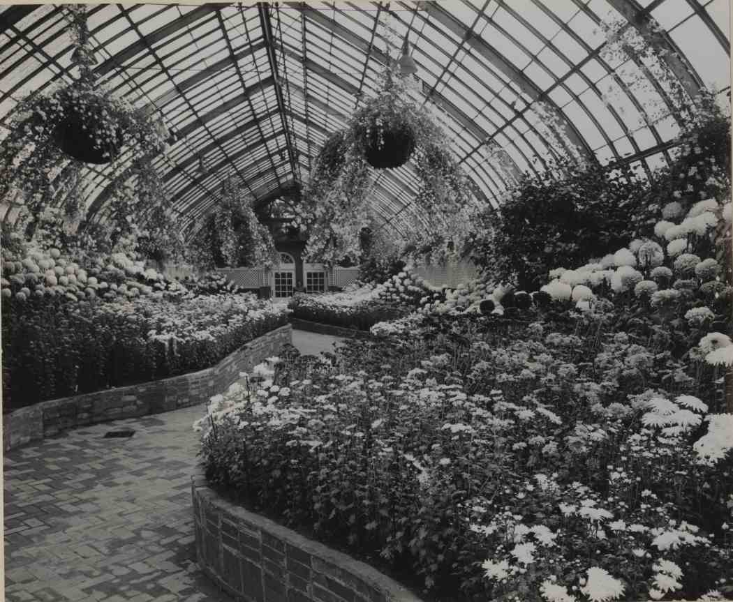 Fall Flower Show 1953