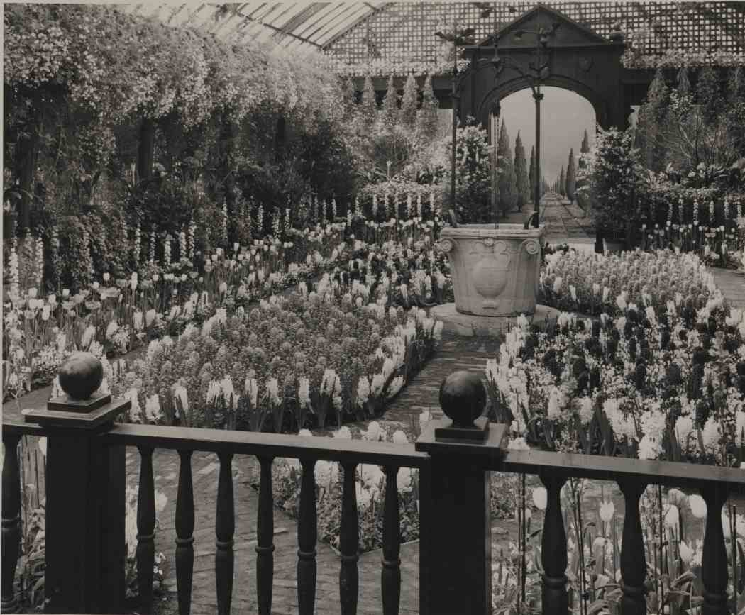 Spring Flower Show 1953