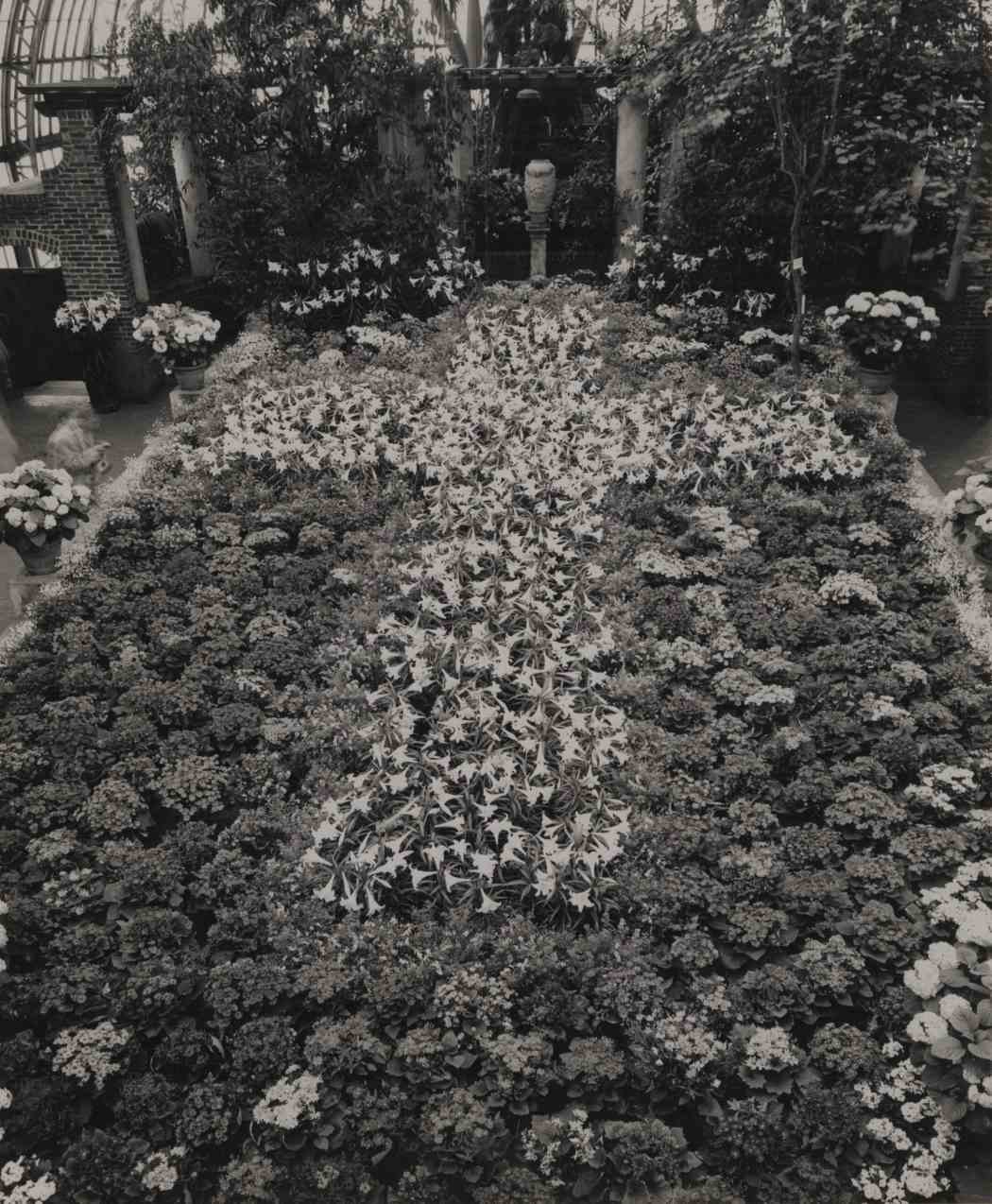 Spring Flower Show 1953