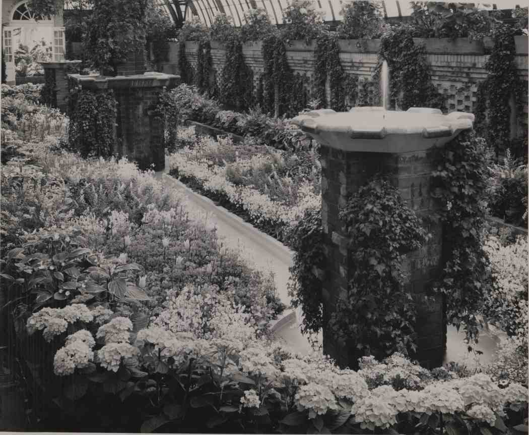 Spring Flower Show 1953