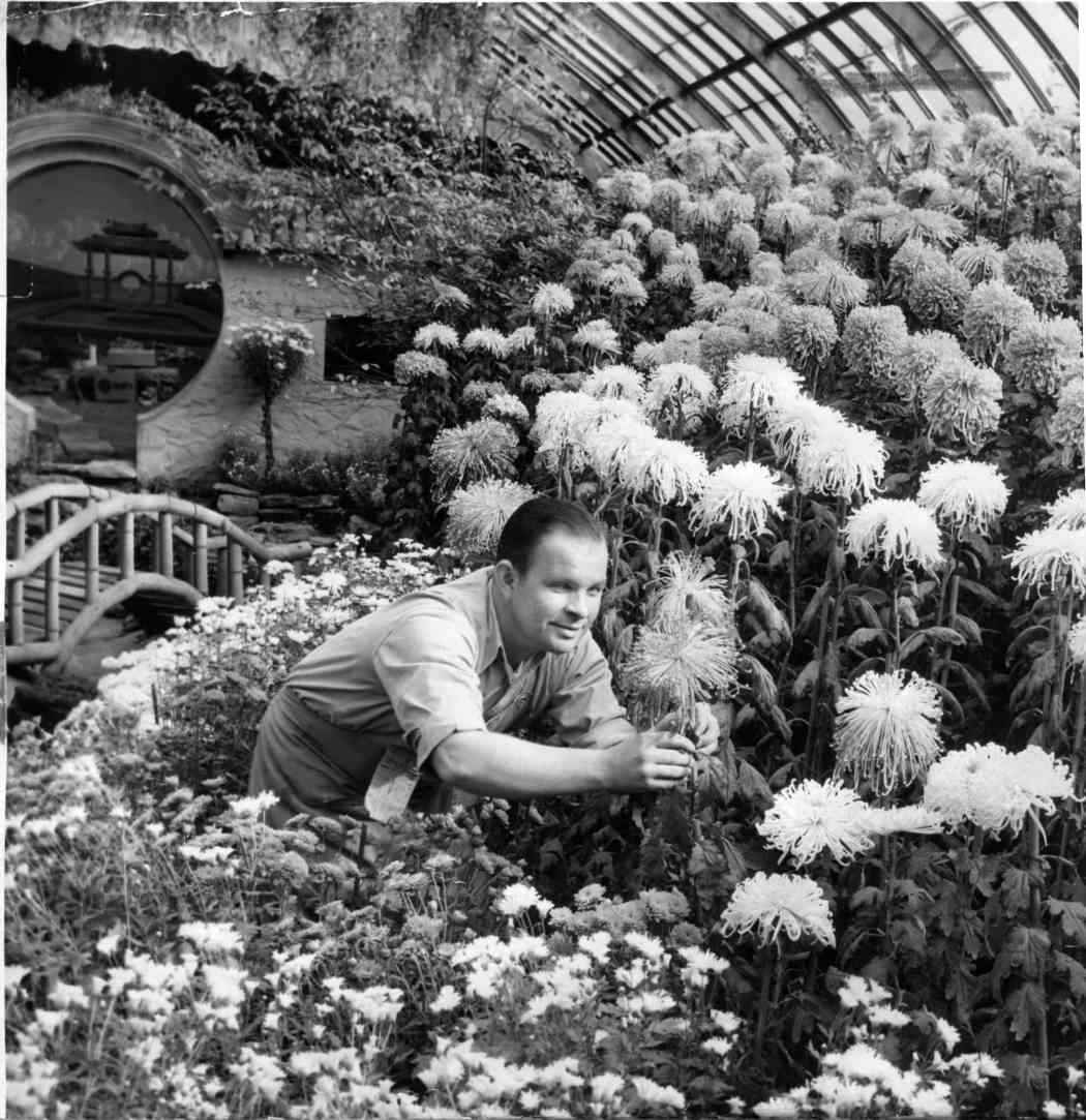 Fall Flower Show 1954