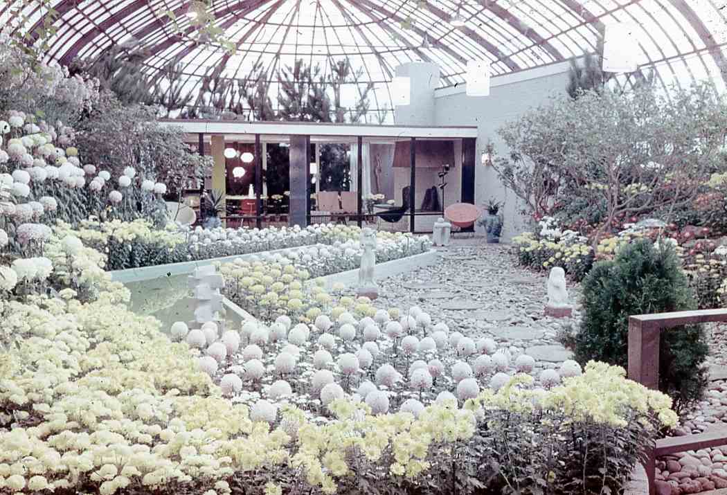Fall Flower Show 1954