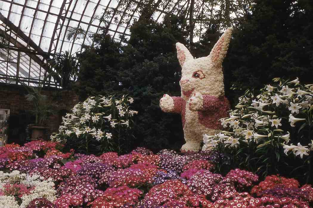 Spring Flower Show 1954