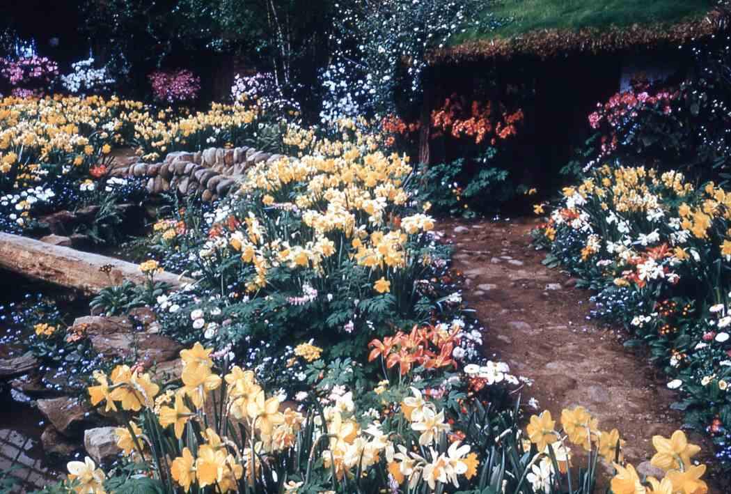 Spring Flower Show 1955: Wearing White for Eastertide