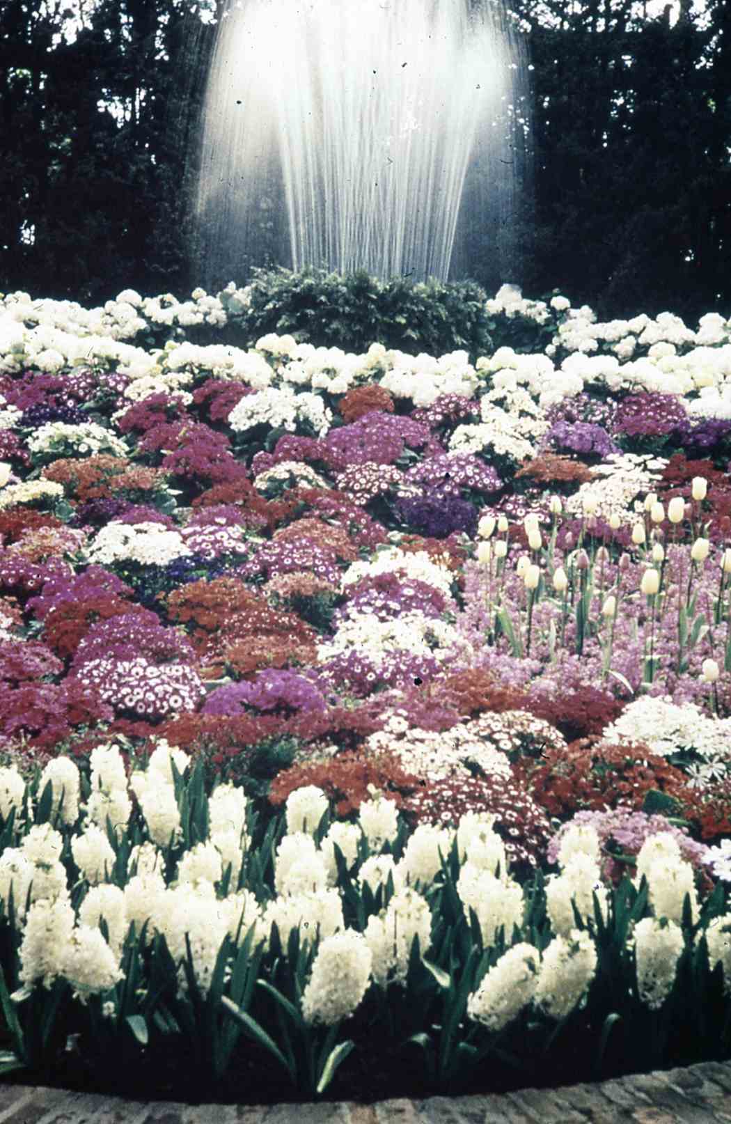 Spring Flower Show 1955: Wearing White for Eastertide