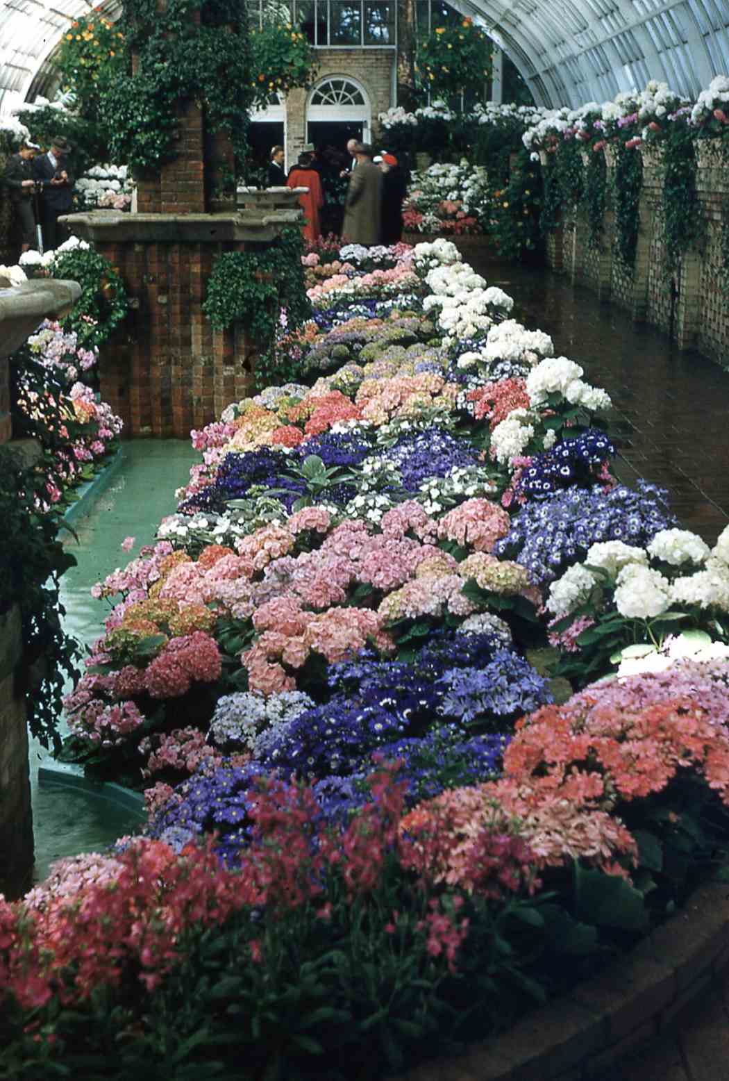 Spring Flower Show 1956