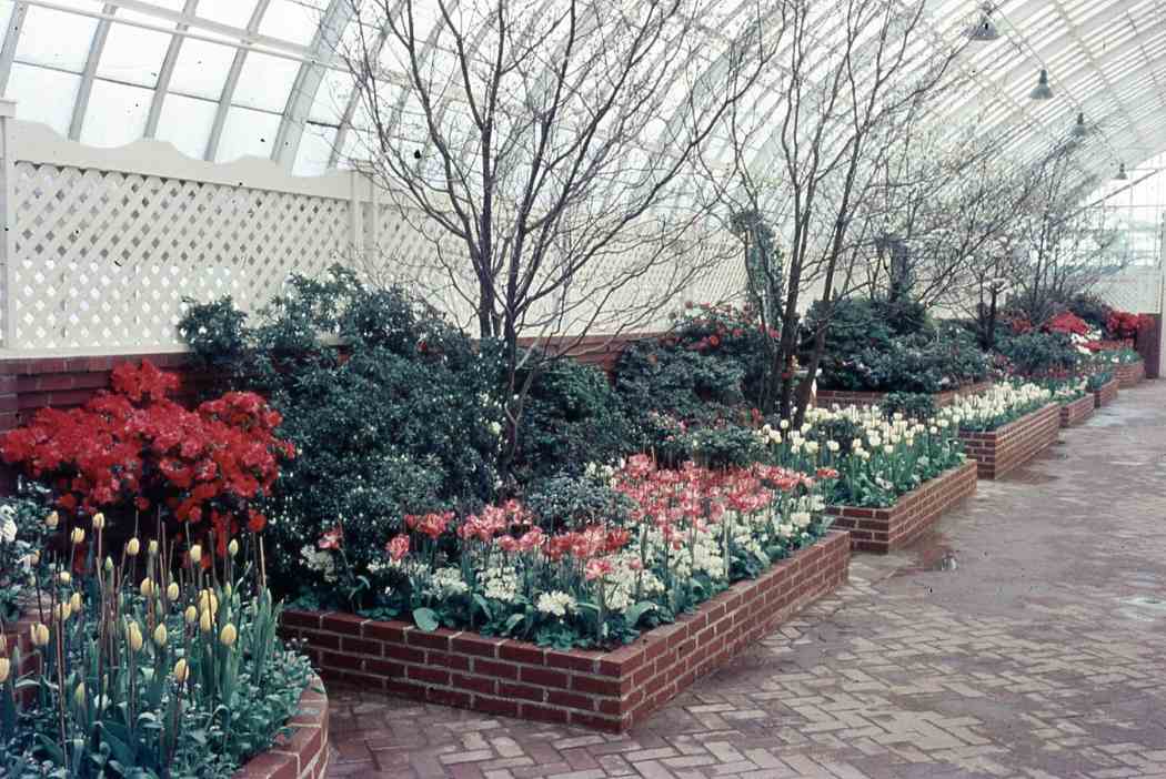 Fall Flower Show 1957