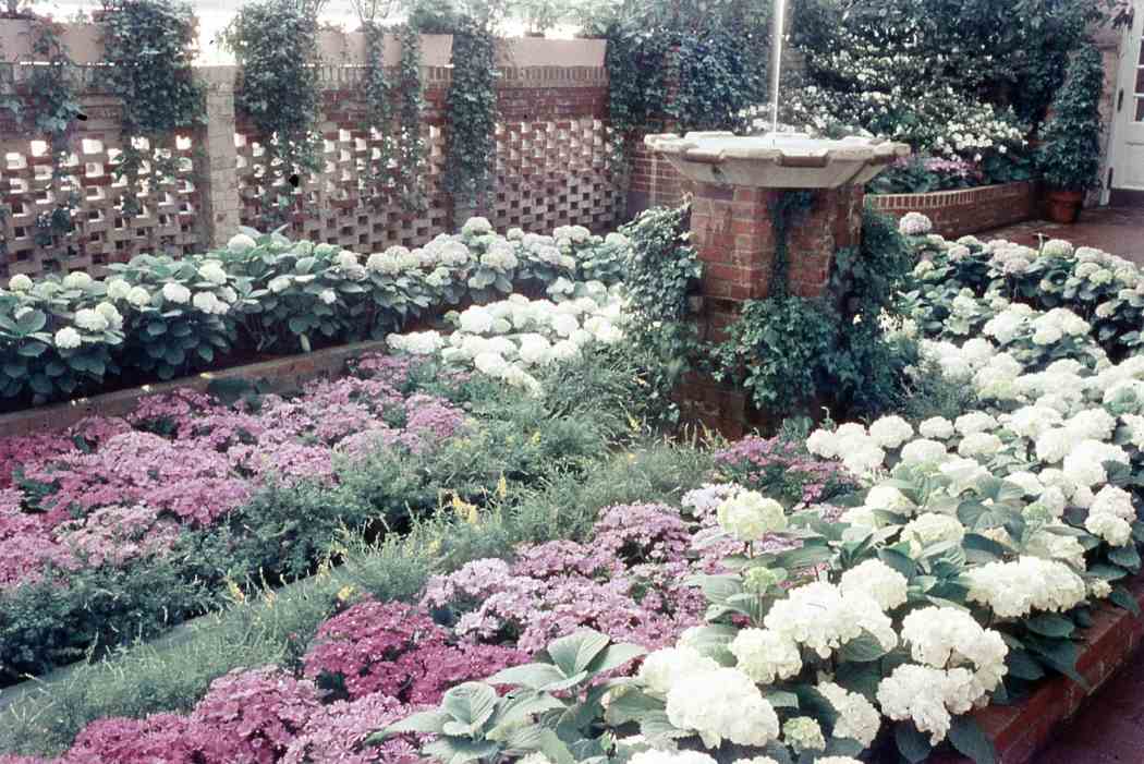 Fall Flower Show 1957